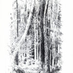 "Nel bosco N. 2", acquaforte su rame, mm 258x165 (Lastra), cm 50x35 (foglio), 1997
200 €