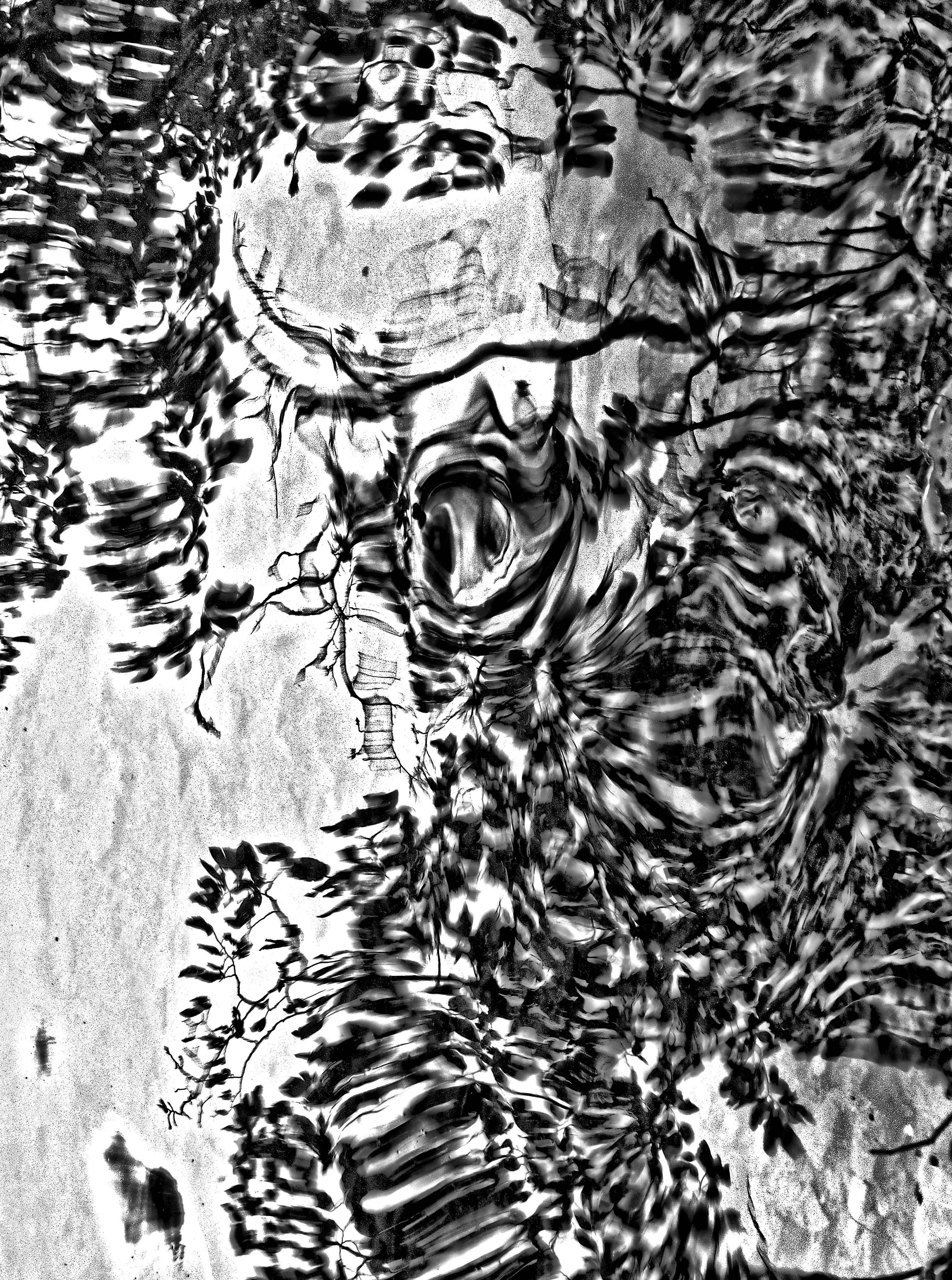 Le figure dell'ansia 2013 . opera fotografica ai sali d'argento cm. 70 x 100